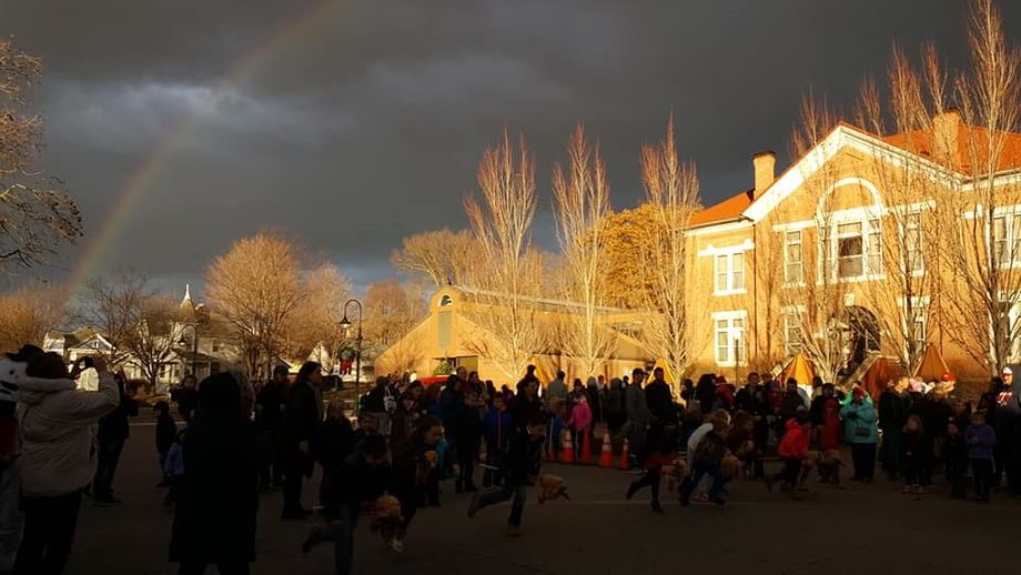 What an absolutely amazing photograph of the Avoca Courthouse during the November 30, 2019 Avoca Holidays on Main celebration!!  (Photo by Avoca Holidays on Main Committee)