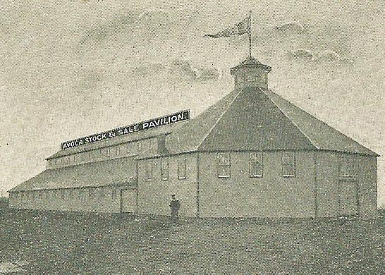 Avoca Stock and Sale Pavilion at the Pottawattamie County Fair Grounds in Avoca.  The Fair Board was organized in 1897.  At the time of Avoca's Centennial this building was still being used for weekly stock auctions.  (From 
